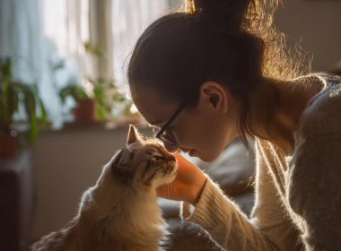 Femme touchant nez avec chat dans salon lumineux.