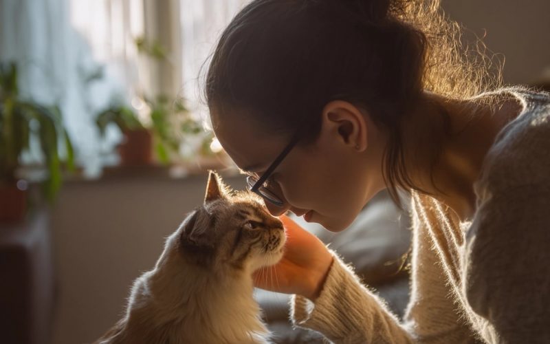 Femme touchant nez avec chat dans salon lumineux.
