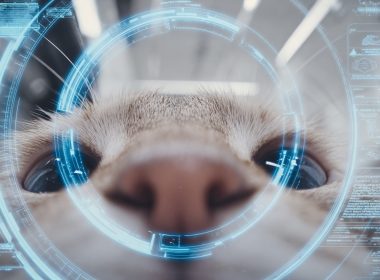 Gros plan d'un chat avec effets numériques futuristes.
