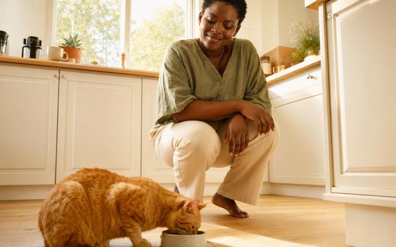 Femme regardant son chat manger dans la cuisine