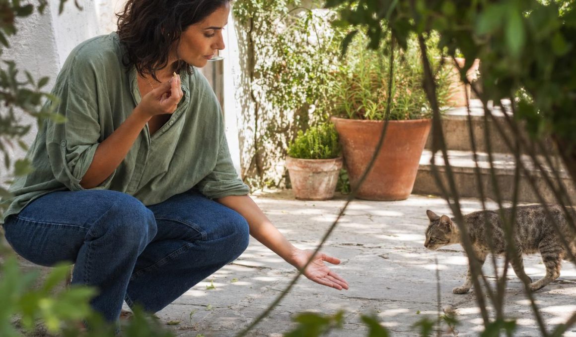 Femme accroupie tend la main à un chat