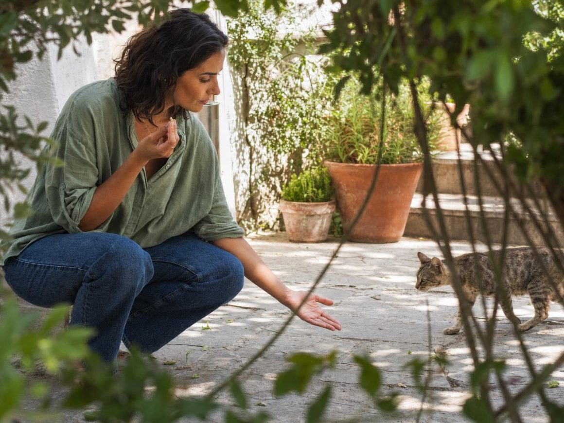 Femme accroupie tend la main à un chat
