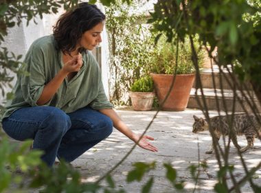 Femme accroupie tend la main à un chat