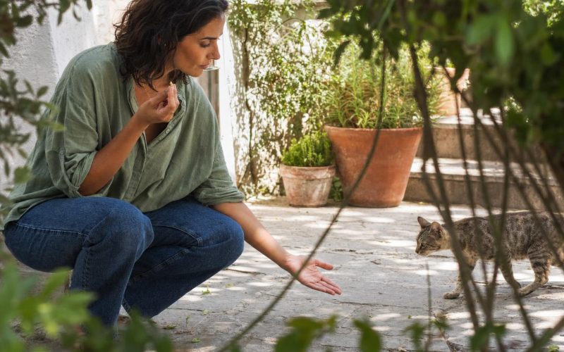 Femme accroupie tend la main à un chat